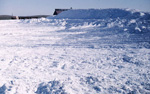 Click to go to the article this image belongs to